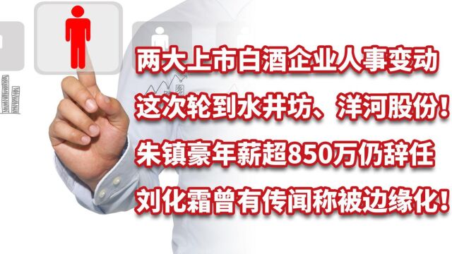 白酒企业离职潮!洋河股份人士变动,水井坊朱镇豪辞任年薪851万