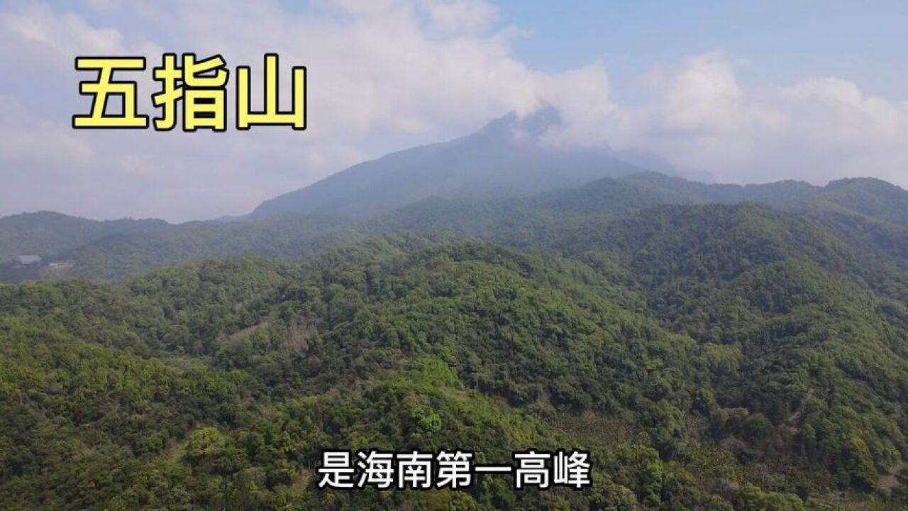 实拍海南第一高山,五指山,海拔1867米,真的好壮观呀!