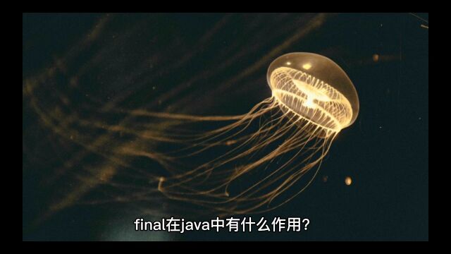 final在Java中有什么作用