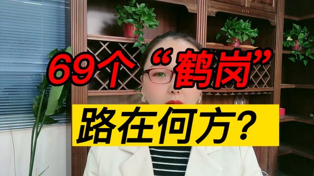 69个“鹤岗”路在何方?