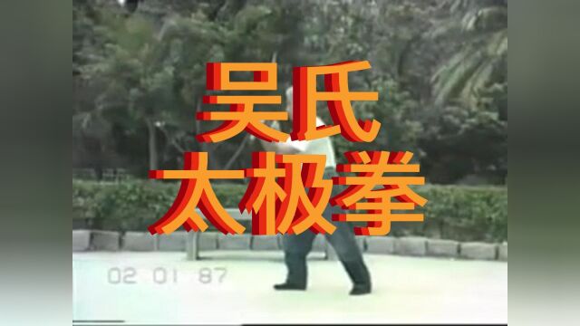 吴氏太极拳(这一路吴家太极拳)二