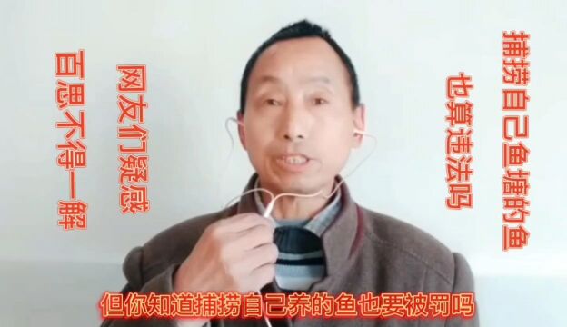 在自家鱼塘电鱼也算违法吗,网友们感到疑惑百思不得一解