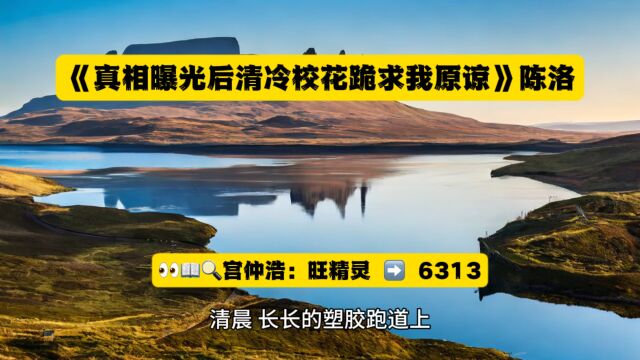 《真相曝光后清冷校花跪求我原谅》陈洛全文TXT阅读◇完整小说