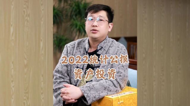 2022统计公报,资产投资