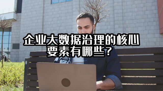 企业大数据治理的核心要素有哪些?