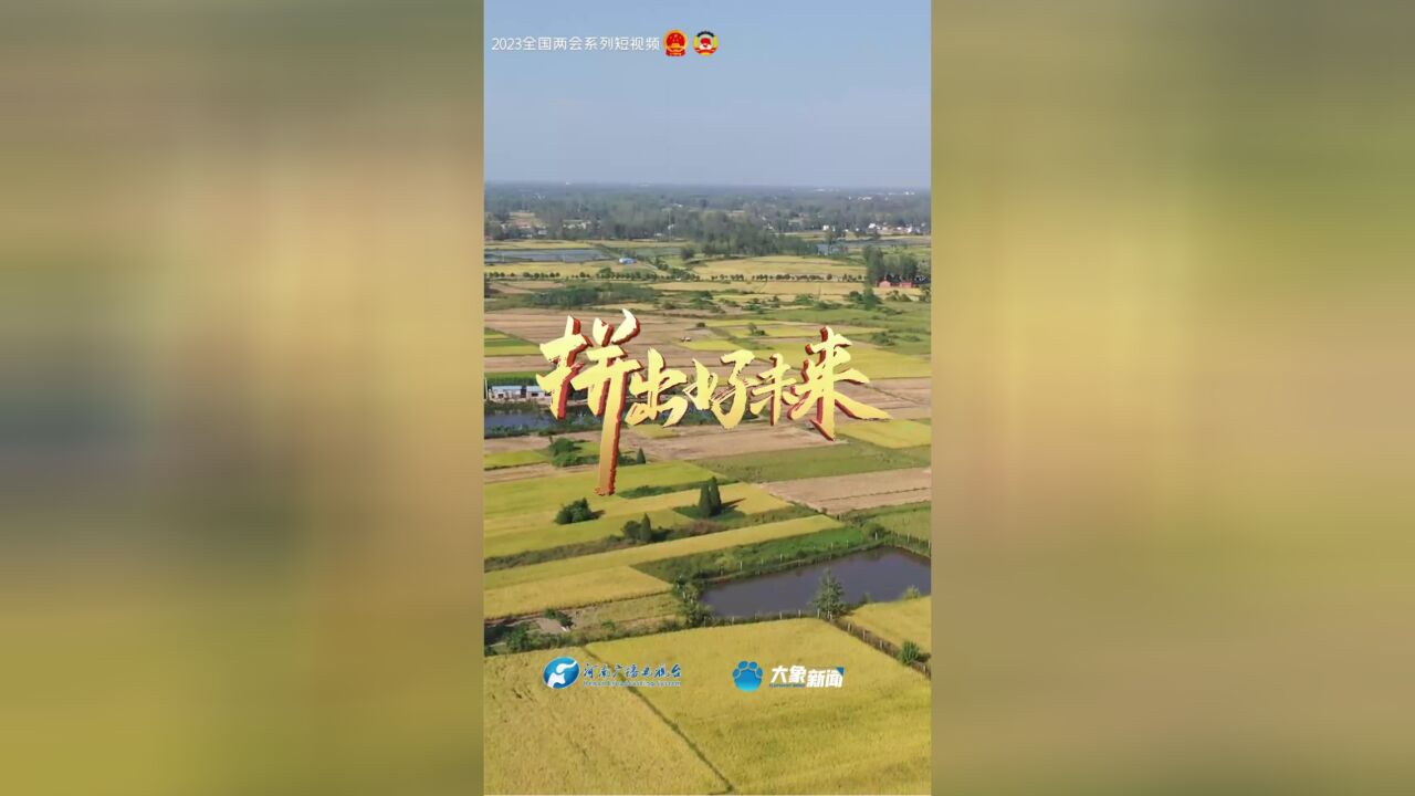 粮食产能再增千亿斤新粮从哪来? 河南密码是三个字