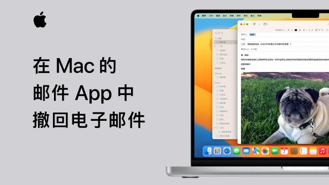 在 Mac 的邮件 App 中撤回电子邮件