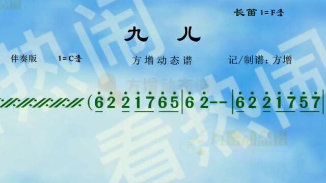 九儿#经典老歌 #音乐分享 #动态曲谱 #乐器演奏 #纯伴奏