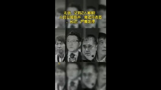 无语,又有2人被抓!人民日报发声,高志丹表态,名记:严肃处理