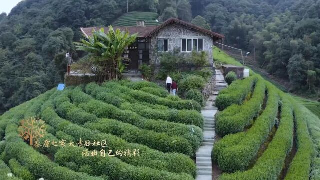 高端医养社区:泰康之家—大清谷(杭州)—旅居大江南北