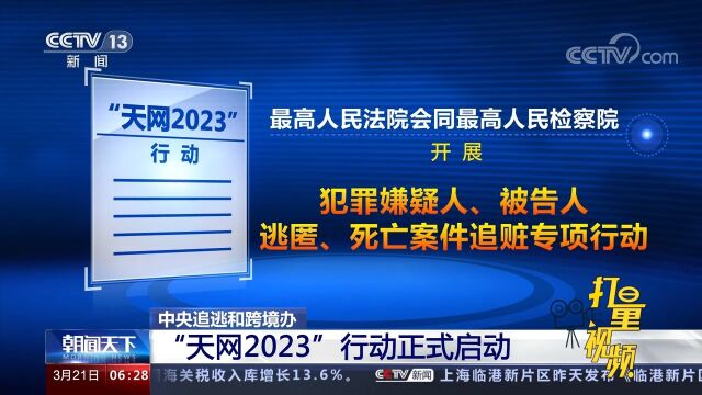 中央追逃和跨境办:“天网2023”行动正式启动