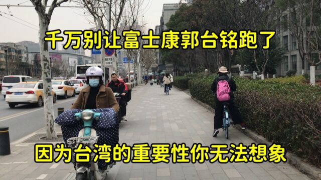 为什么不能让郭台铭富士康跑了?因为台湾的重要性,你无法想象