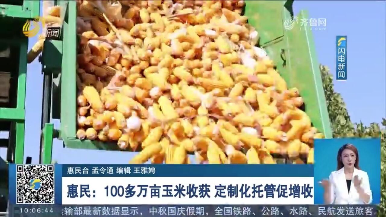 惠民:100多万亩玉米进入收获季,定制化托管服务促进粮食增收