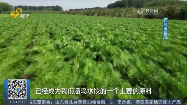 胶州里岔镇:擦亮国家地理标志产品,烹出“预制菜”特色小镇