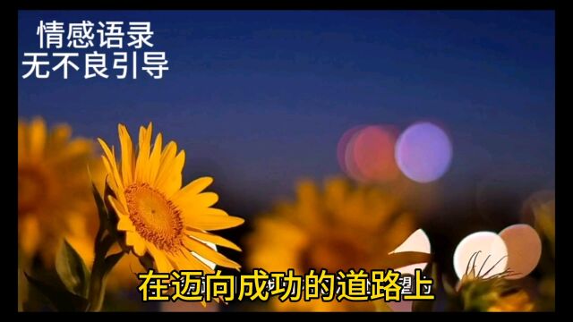 独自在寂静无人的日子里默默提升自己,人生就像一场竞赛.