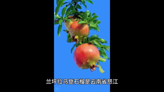 特产推荐:云南怒江特产