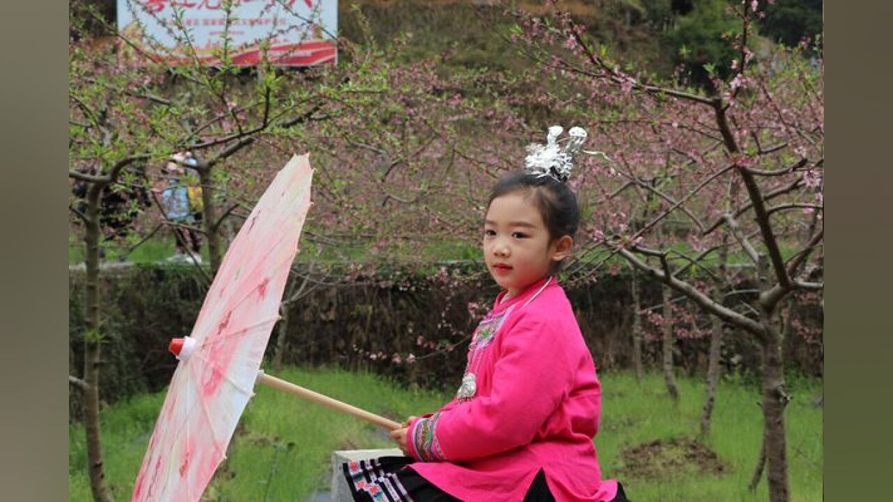 通道:三月赏花节 相约古侗寨