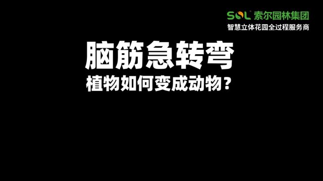 索尔园林集团丨揭秘!【魔术师】如何把植物变成动物~~