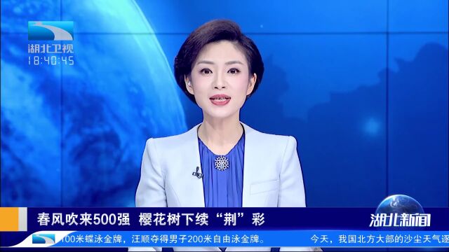 24个项目签约,新能源汽车项目超四成