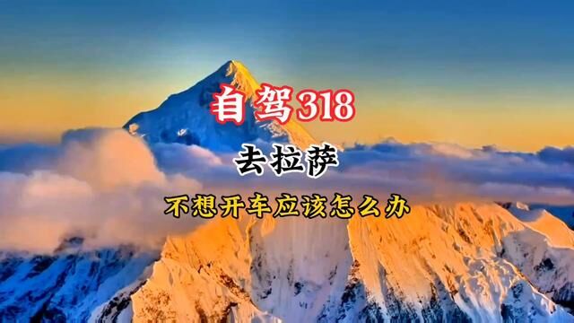 自驾318去拉萨,不想开车应该怎么办?#西藏 #此生必驾318 #最美的风景在路上 #看见日照金山会幸运一年