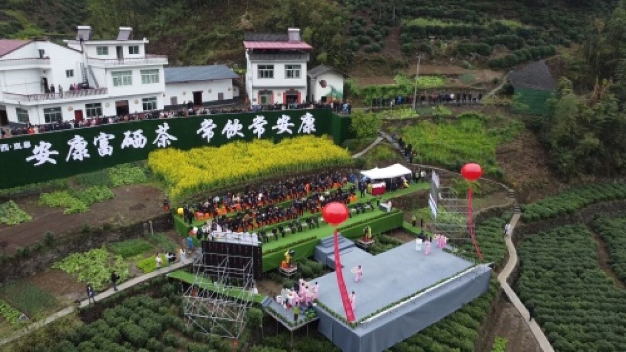 好山好水出好茶!2023年安康富硒茶(岚皋)春茶开园