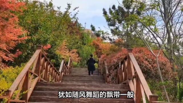 青岛第二实验中学侯沛岑《行走的语文——青岛浮山森林公园游记》