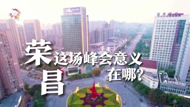 渝州瞭望台丨读“荣昌宣言” 看“桥头堡”如何助力川渝民营经济