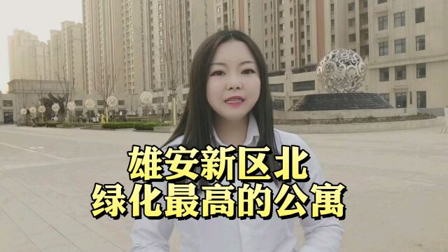 雄安白沟楼盘哪个比较好?