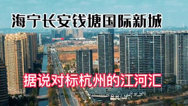 海宁市长安镇在下沙东部打造钱塘国际新城!将建造20幢高端写字楼