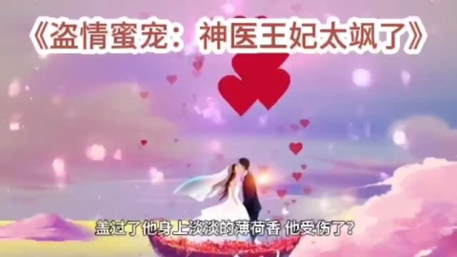 《盗情蜜宠:神医王妃太飒了》云七夕小说全文在线阅读(无弹窗)