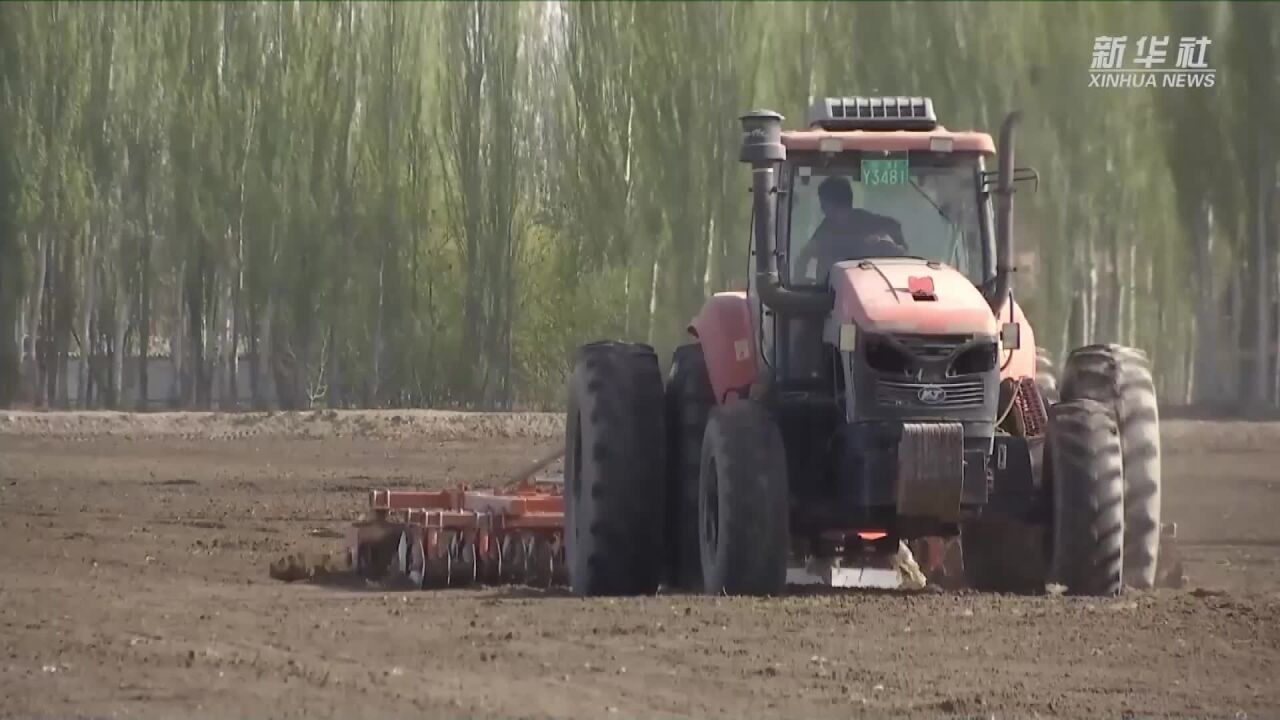 新华全媒+丨中国棉花主产区拉开春播序幕