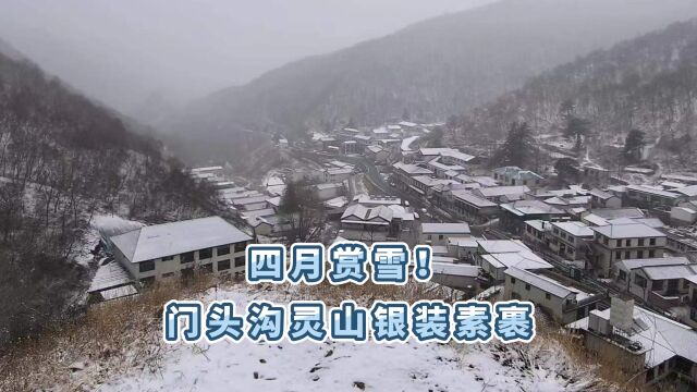 视频|四月赏雪!门头沟灵山银装素裹