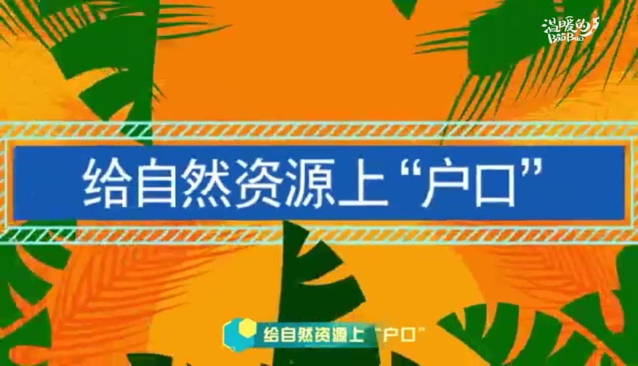 【三面财经】给自然资源上“户口” 我国首批重点区域自然资源确权登记完成登簿