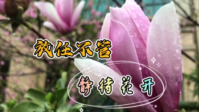 如果放任不管还能静待花开?