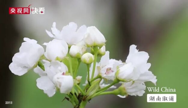 4.4地铁湖南溆浦