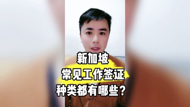 出国工作新加坡常见工作签证种类都有哪些?康朋出国海外就业办理专家杨老师聊出国出国劳务商务部资质公司出国劳务正规派遣公司出国劳务正规公司10大...