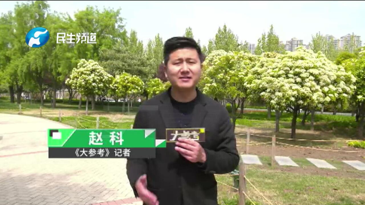 河南郑州:在群里接单做任务,以为天上掉“馅饼”,结果被骗10多万