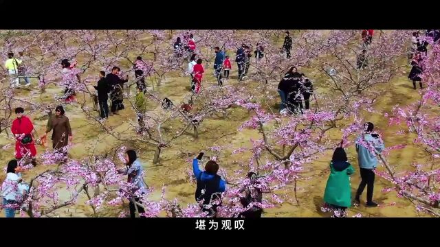 4月18日河津市小梁乡汽摩越野赛盛大开幕