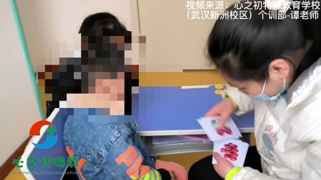 孤独症发育迟缓儿童亲子同训由特教老师培训家长掌握一定的专业知识和训练技巧,实现机构与家庭教育干预训练的结合,得到训练效果的最大化,实现融...