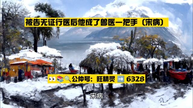 被告无证行医后他成了兽医一把手(宋病)全文TXT阅读○无删减