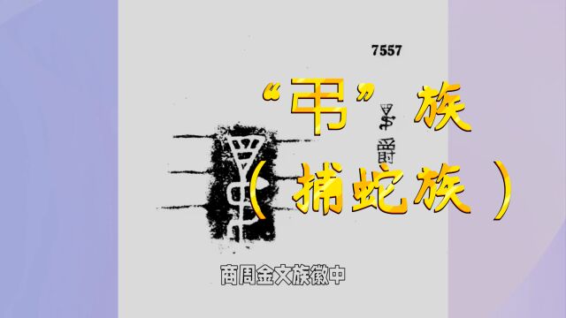 从金文族徽“吊”,看神秘捕蛇族的历史