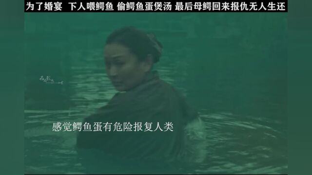 为了婚宴 残忍鲨害鳄鱼 拿下人喂鱼 最终遭遇鳄鱼的报复#电影巨鳄2 #电影巨鳄2上线