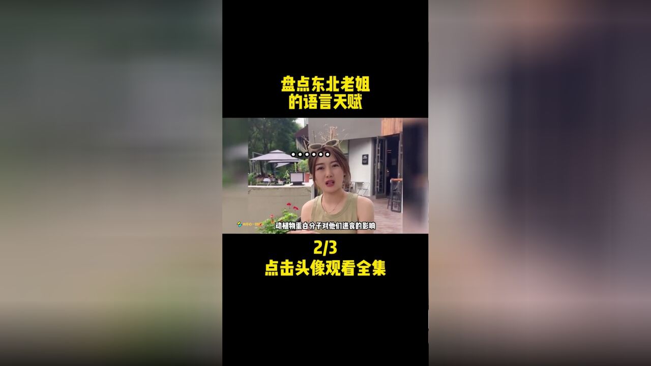 东北老姐的语言天赋有多强,不但人长得漂亮,怼人也是句句经典