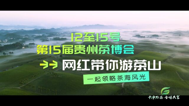 12至15日,网红带你游茶山,一起弘扬黔茶文化,领略茶海风光