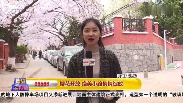 青岛樱花季如期而至,这条藏在居民区里的“樱花路”太美啦!