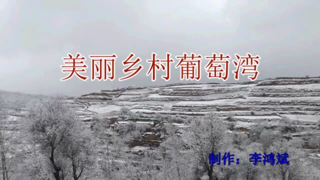 一场春雪美如画