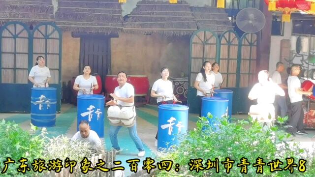 广东旅游印象之二百零四:深圳市青青世界8