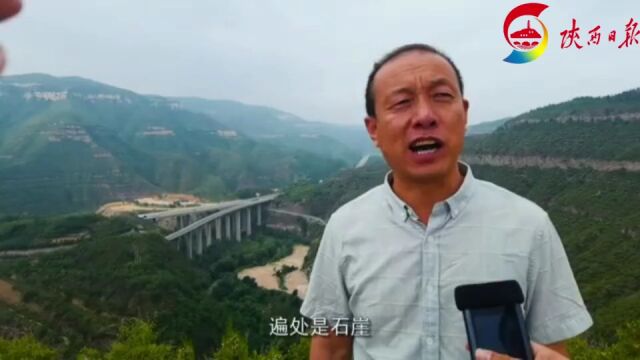 让母亲河在绿意葱茏中流淌