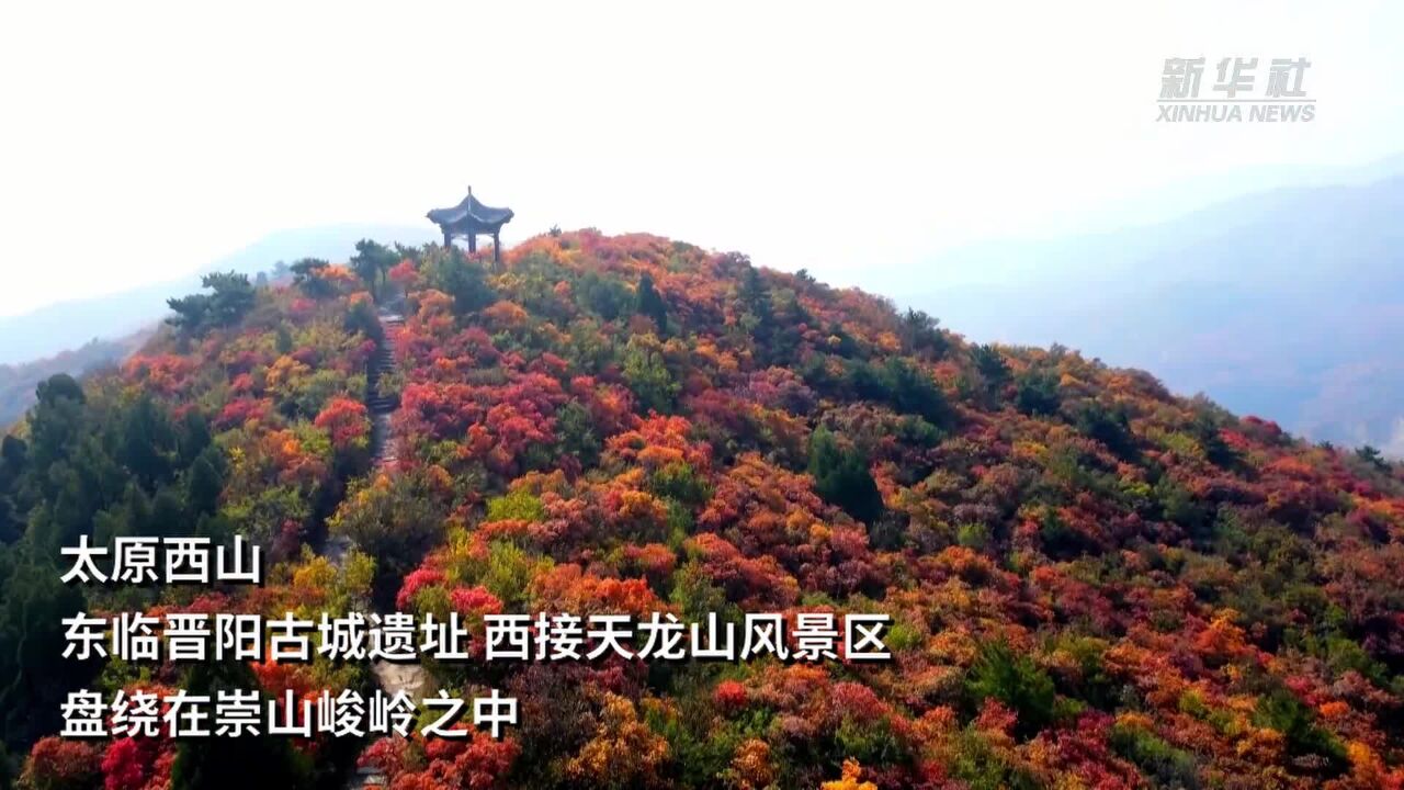 山西太原:金秋红叶好 风爽秋山明