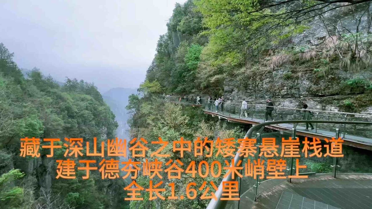 藏于深山幽谷之中的矮寨悬崖栈道,建于德夯峡谷400米峭壁上,全长1.6公里